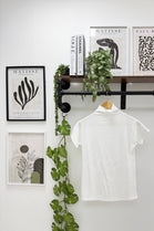 SOFTLINE STRETCH ROLLNECK T-SHIRT (15347264651648)