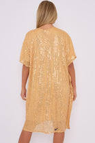 BODIE SEQUIN V-NECK TUNIC (14780264415616)