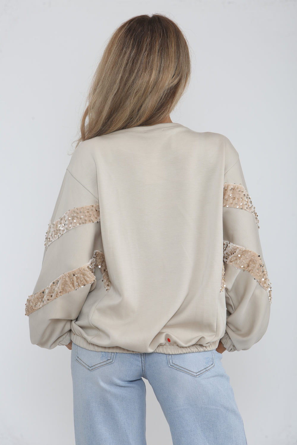 DETAIL SEQUIN SLEEVE SWEAT SHIRT